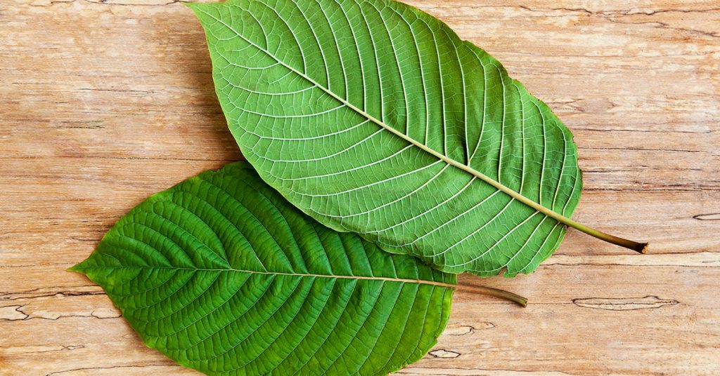 Kratom Consumption for Your Anxiety Problems - Techicy