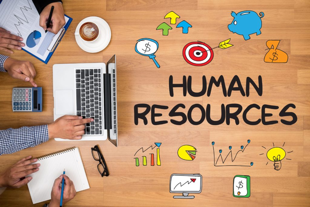 What Are The Differences Across HR Management Software Techicy