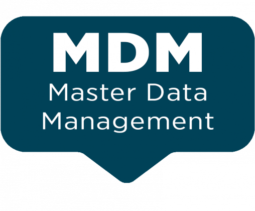 Master Data Management - Techicy