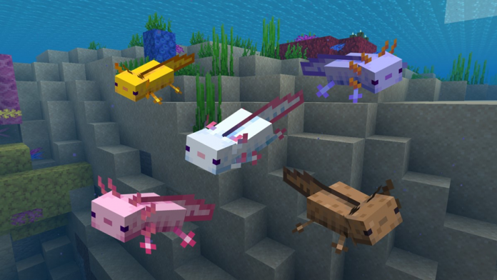 What Is The Food Of Axolotls In Minecraft? - Techicy