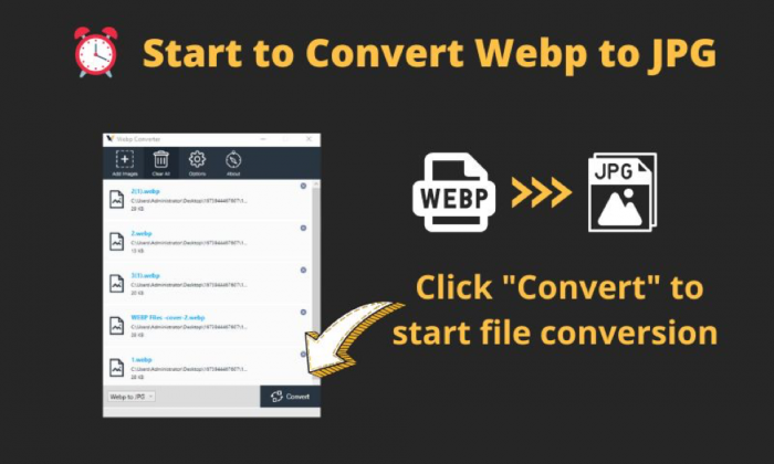 AnyWebP PC Review: Is This WebP Converter Worth Trying? - Techicy